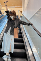 2022 Spring new zipped wool side half body dress Spring and autumn female design High waist mid-length dress