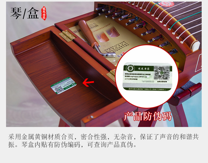 Guzheng 04_20.jpg