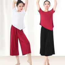 Dance dress Female Modal modern dance short-sleeved top Teacher training Chinese national dance body dance practice suit