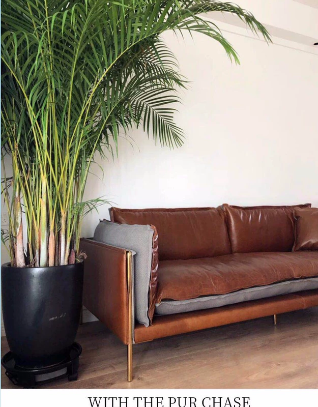 Nano chống hà Bắc Âu phong cách loft công nghiệp phòng khách retro văn phòng sofa ba sáp dầu sofa sáng da cao cấp của Mỹ - Ghế sô pha sofa mini phòng ngủ