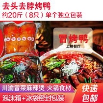 Fully cooked roast duck about 20 pounds 8 Chengdu roast ducks semi-finished roast duck spicy hotpot head removed roast duck