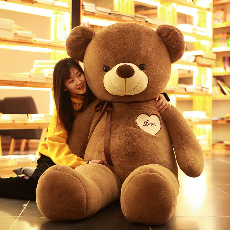 korean teddy bear