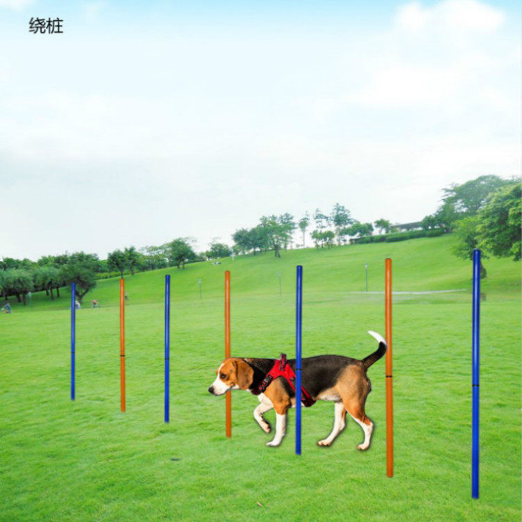 Dog training track outdoor sports equipment agility obstacle bar training around the pile S-shaped around the bar training supplies