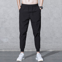 2021 summer thin ice silk pants men Korean version of the trend slim feet nine stretch casual pants pants men