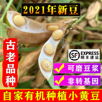 3 Jin 2021 new small soybeans farmers self-planted bulk soy milk special organic non-genetically modified Northeast soybeans
