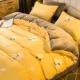 Chải nhung san hô bốn mảnh giường flannel mùa đông dày lên ấm áp hai mặt pháp luật nhung đỏ - Bộ đồ giường bốn mảnh