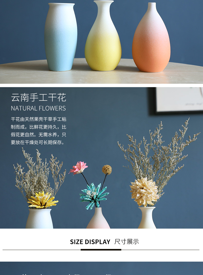 Small pure and fresh and dried flower adornment table furnishing articles Nordic TV ark, desktop ceramic floret bottle of flower arranging house sitting room