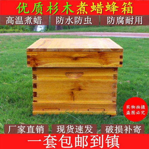 Bee Beehin Полный набор приготовленного буферного инструмента Waxpot