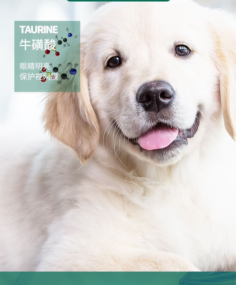 Thức ăn cho chó Isa Ou Jia 20kg thức ăn cho chó trưởng thành Jin Mao Teddy VIP Binmu Mubin Dubin Labrador General 40 kg - Chó Staples pate cho chó con