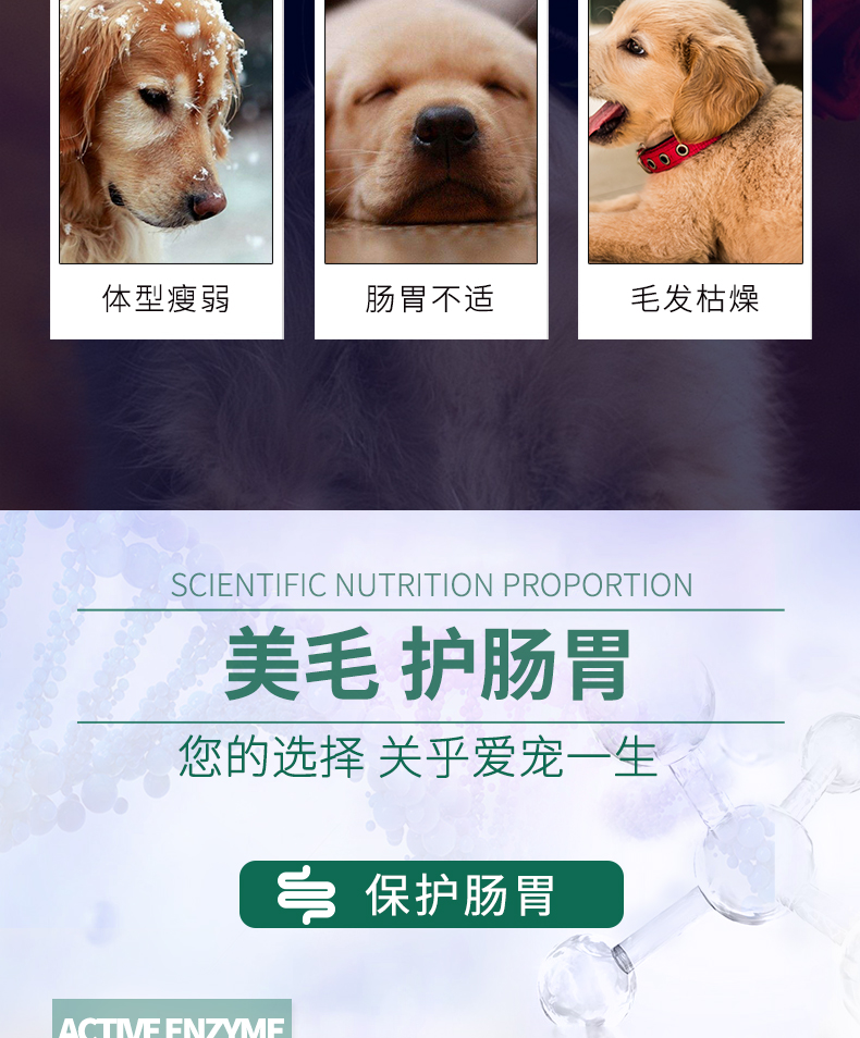 Thức ăn cho chó Isa Ou Jia 20kg thức ăn cho chó trưởng thành Jin Mao Teddy VIP Binmu Mubin Dubin Labrador General 40 kg - Chó Staples pate cho chó con