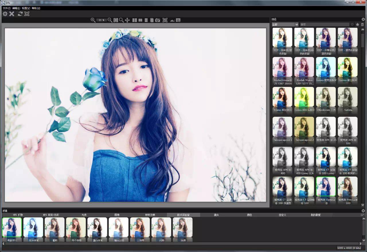 【S15】PS影楼一键调色滤镜插件DFT Tiffen Dfx 4.0.8汉化版 Win