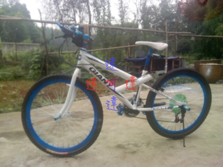 Décoration pour vélo - Ref 2282589 Image 7