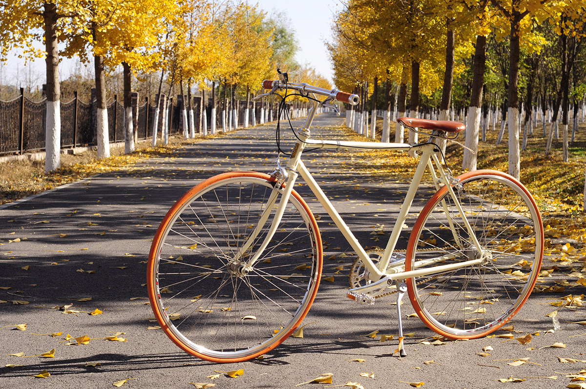 Savorello Private booked brown tire white car