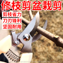 Gardening scissors green plant pruning shears flower potted plant pruning shears fruit tree scissors multifunctional household