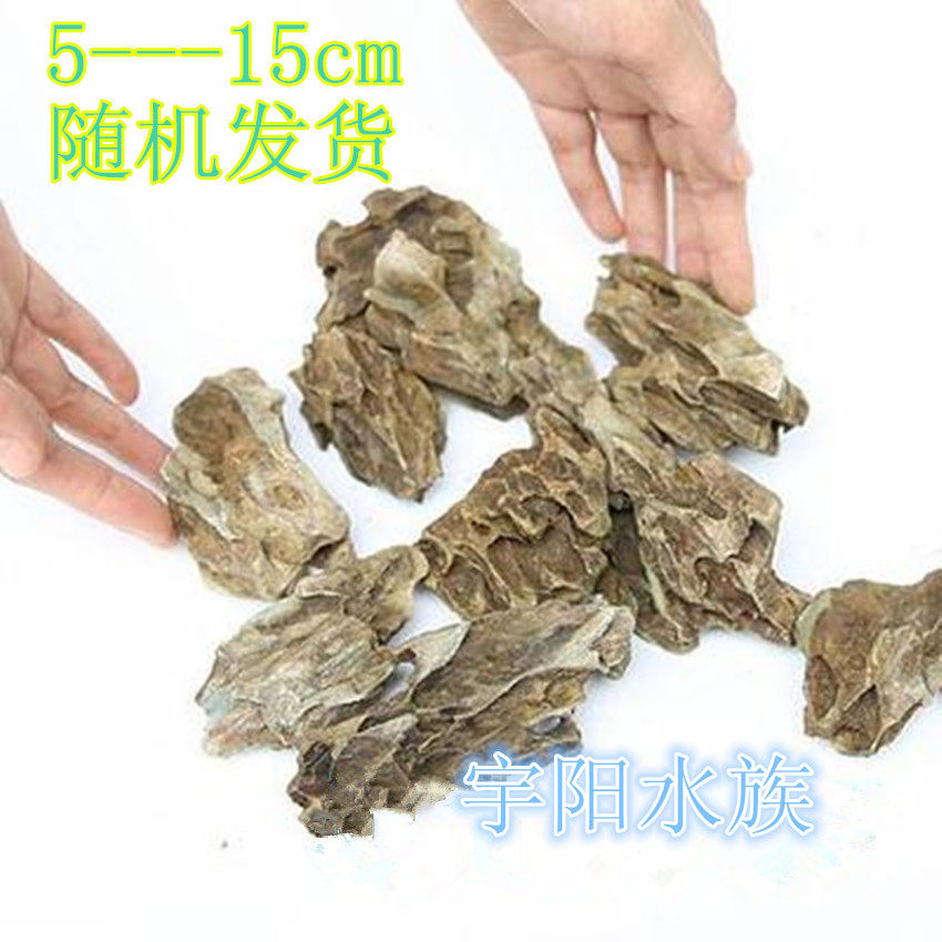 Small pieces of pine pistes RMBone A microscopic landscapingstone landscape moss cylinder handpicked shipping-Taobao