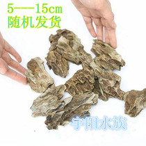 Small piece of pine skin stone one yuan a microscopic landscape Stone Moss tank selection delivery