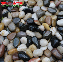 Yuhua stone pebbles multicolored stone home decoration ground stone fish tank bonsai high quality high polished size different