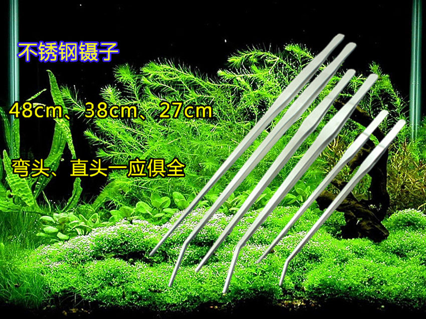 Stainless steel tweezers fish tank aquarium elbow straight head water grass clip turtle reptile feeder long tweezers 