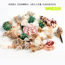 Aquarium landscape decoration fish tank aquarium set decoration bottom natural conch shell package 250g