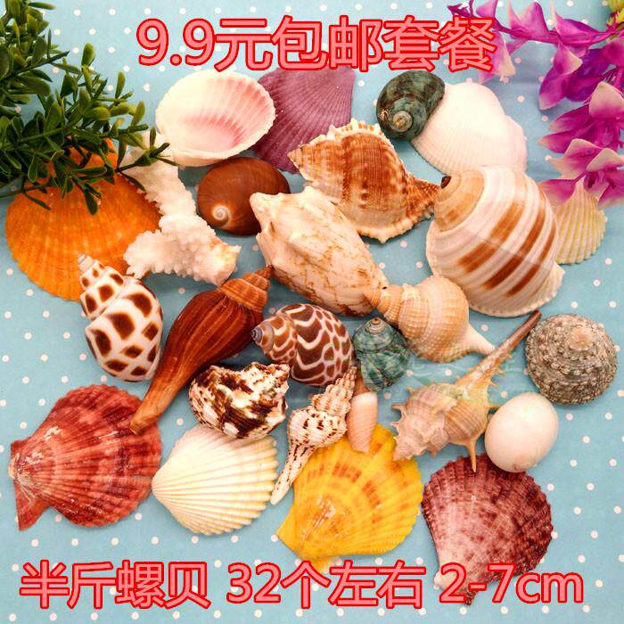 过年 包邮天然海螺贝壳珊瑚大套装礼包套餐水族箱鱼缸造景装包邮