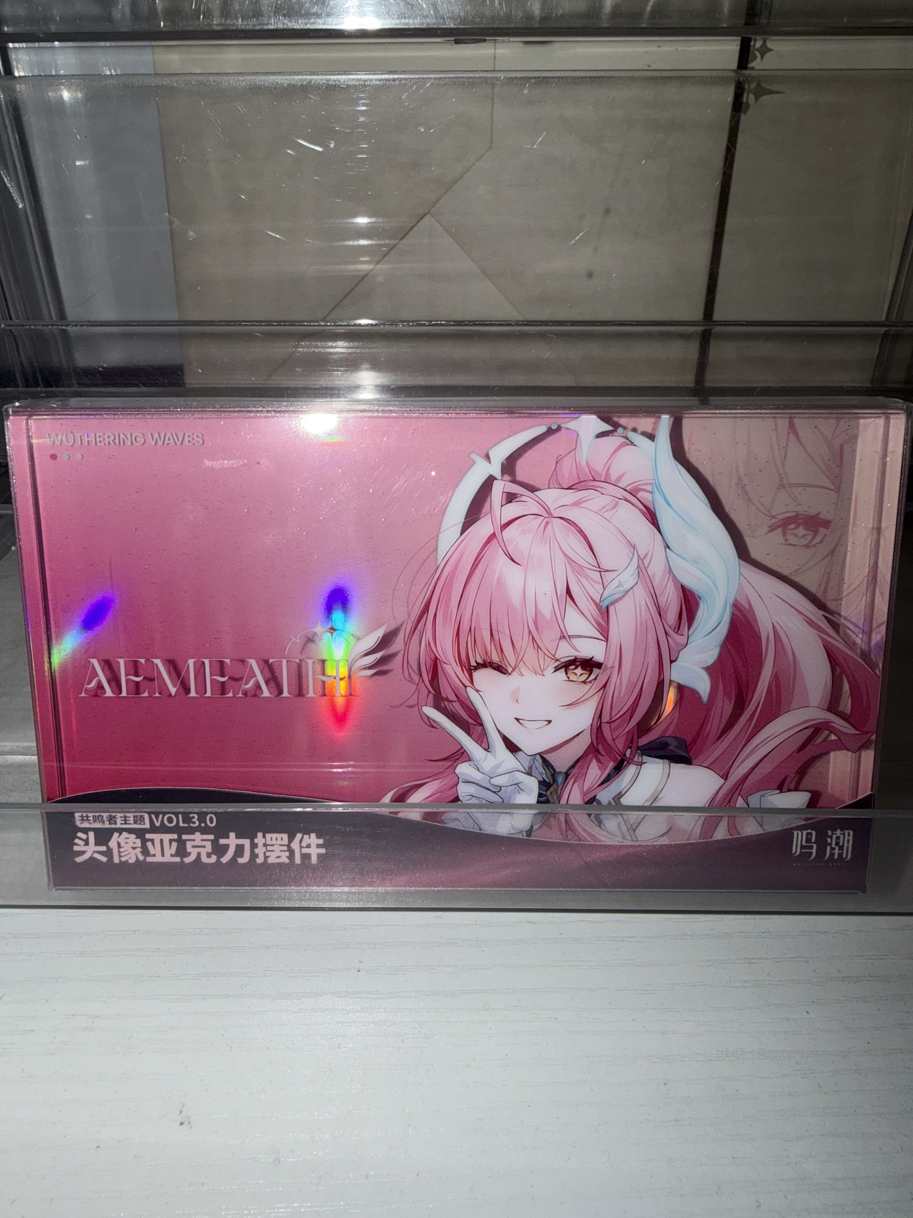 (สินค้าของแท้ในสต็อก) ฟิกเกอร์อะคริลิกธีม Resonator จาก Wuthering Waves รุ่น Amys ของใหม่ยังไม่ได้เปิด