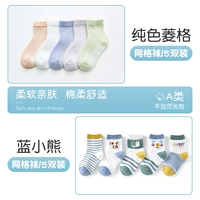 【Little Bear+Pure Color】 10 Double