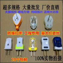 Pure copper sheet high power explosion-proof anti-falling rotating two-pole two-pin plug thick 10A three-pin plug