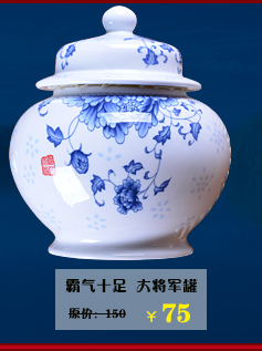 The Crown, jingdezhen ceramic tea pot large POTS general gift porcelain jar airtight pot 1 catty of blue and white porcelain