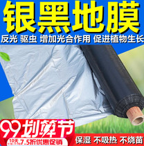 Orchard greenhouse insulation wet summer agricultural reflective weeding silver gray two-color silver black film adhesive plastic film
