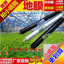 Agricultural black mulch film thickened grass-proof special vegetable sapling insulation plastic film