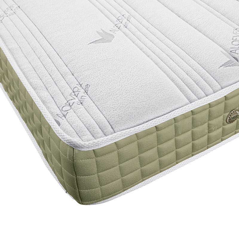 ʢ�ƹ��ϵ��ɴ���cd203