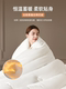 2025 New Winter Silk Quilt Cotton Quilt Silk Cotton Quilt Xinjiang Quilt Winter Quilt Thickened Warm Winter Quilt Core 5kg