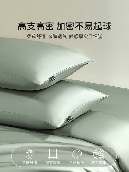 100-Count Long-Staple Cotton Anti-Mite Four-Piece Set, Pure Cotton Bed Sheet and Duvet Cover, Autumn and Winter Bedding, 2024 New Model, Three a