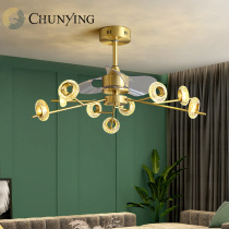 Simple modern Nordic ceiling fan lamp living room home dining room electric fan lamp bedroom silent ceiling fan chandelier electric fan lamp