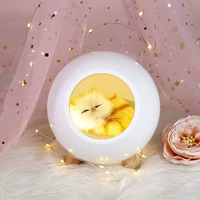 Little Pet House-White [Storage]+Color Paper упаковка+карта+сумочка