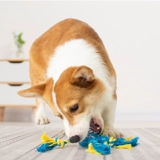 Yitte Dog Toy Toy Ballestaint Toys Toys Toys Home unclean artifact Pet Dog Toy дразнить артефакт собаки