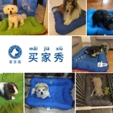 Петутное гнездо плюшевая собака гнездо зимнее собачья кровать разборка