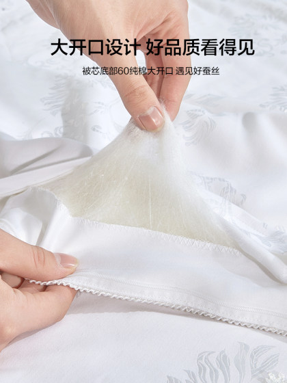 Yalu Genuine Silk Quilt Air Conditioning Quilt 100% Mulberry Silk Quilt Summer Cooling Quilt Spring and Autumn Quilt Core Suitable for All Seasons