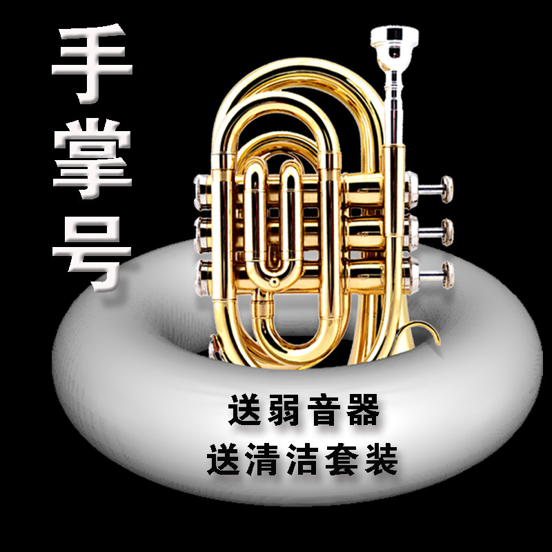 Original trumpet musical instrument palm number b-flat key beginner professional grade examination performance