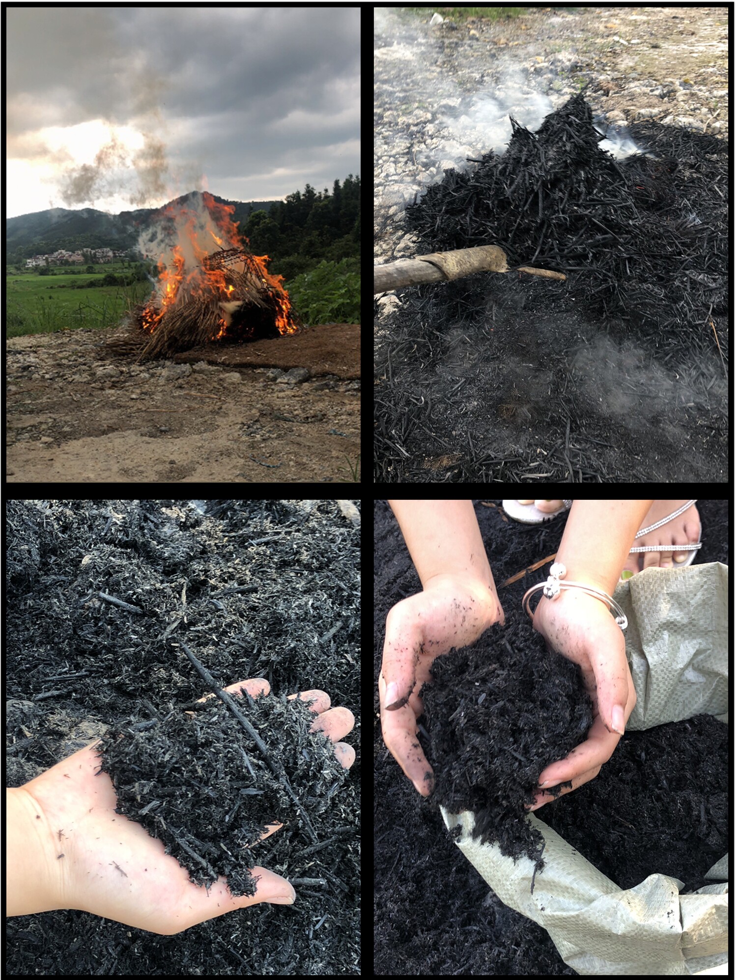 Farm ash Rice husk charcoal Rice husk ash Rice husk carbon ash organic potassium fertilizer Ash smoked charcoal fleshy soil organic