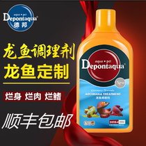 Debon dragon fish special medicine universal blindfolded fish medicine disease Red Dragon sterilization rotten meat white hair anorexia off scale congestion fish medicine