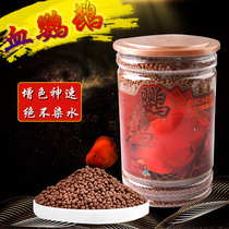 Great promotion inch Gold Blood parrot red feed fish food Red Parrot Fish Fish rich map fish food