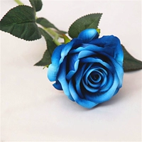 Симуляция Blue Rose 1