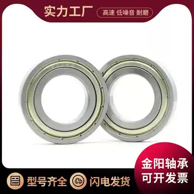 Bearing 16100 16001 16002 16003 16004 16005 16006 Z ZZ 2Z -2RS