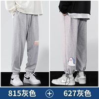 K815 Grey +627 Grey