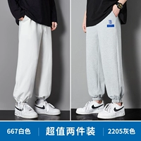 667 белый +2205 серой