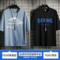 T0309 Smog Blue+T0307 Black