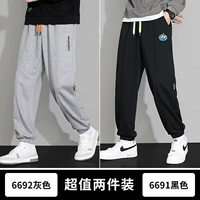 6692 серый +6691 черный