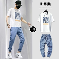 T0267 White + 836 Blue