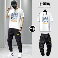 T0267 White + 832 Black